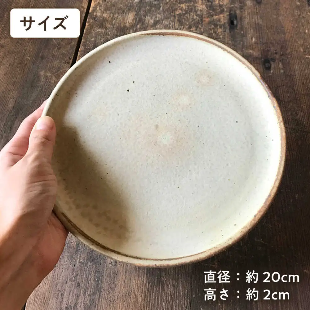 【 受注生産 】 20cm 丸 プレート 5枚 セット アイボリー アイアンブラック シリーズ 糸島市 / うつわと手仕事の店 研　器 陶器 食器 クラフト 手作り [ARD008]
