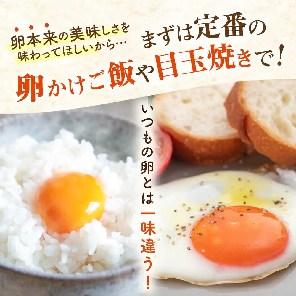 卵 50個 てつやとのりこの玉子 卵 たまご [AWD002]