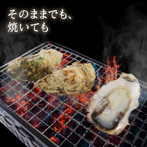 牡蠣 8個 殻付き 冷凍 生食用 かき 牡蠣 カキ  オイスター oyster アヒージョ バーベキュー BBQ フライ 揚げ物 ごはん 夕飯 おかず おつまみ 晩酌 米 丼 海産物 海鮮 魚介 魚介類 贈答品 お中元 大船渡 三陸 岩手県 国産