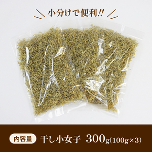 干し小女子300g 海鮮 魚貝類 魚介類 魚 稚魚 新子 浜茹で 干し 小分け こうなご イカナゴ 肴  海藻 海産物 三陸 国産 岩手県 国産 味噌汁 ごはん 夕飯 おかず サラダ 大船渡 三陸 岩手県 国産