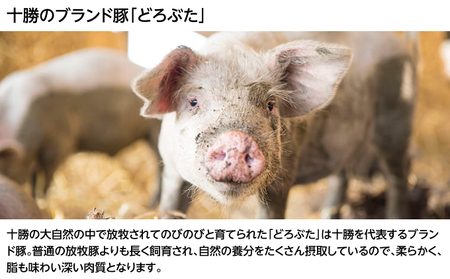 北海道十勝のメンチカツ 70g×6個（どろぶたメンチカツ）［木川商店］【 加工品 惣菜 冷凍 お肉 豚肉 レンジ お手軽 簡単 北海道 十勝 幕別  】 