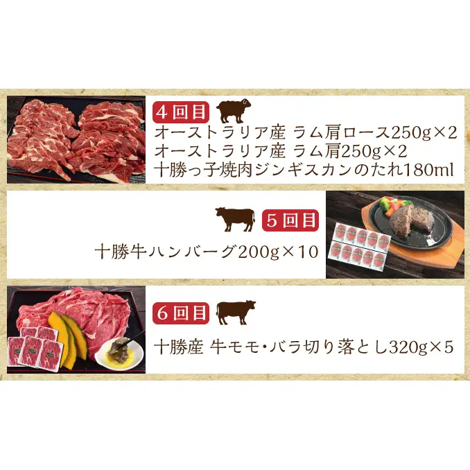 定期便 全6回 北海道産 豚肉 牛肉 セット ハンバーグ