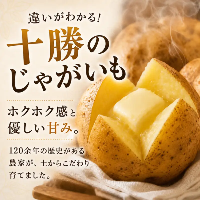先行予約 メークイン5kg 玉ねぎ4kg セット じゃがいも