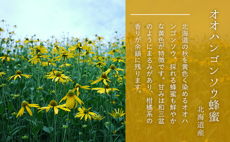 【国産純粋蜂蜜】北海道産 はちみつ3種食べ比べ 1.5kg (500g×3本) アカシア・シコロ・オオハンゴウソウ［ナルセ養蜂場］【 はちみつ ハチミツ 蜂蜜 ハニー 健康 美容 料理 純粋 希少 ギフト プレゼント セット 食べ比べ 詰め合わせ 北海道 十勝 幕別 】