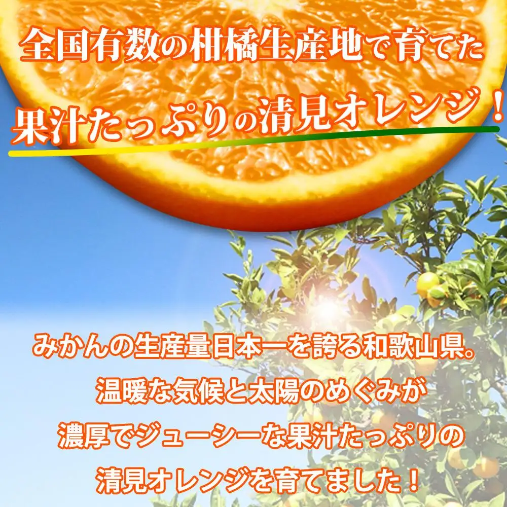 ［ご家庭用訳アリ］紀州有田産清見オレンジ　7.5kg［2027年3月下旬以降発送］［先行予約］［UT54］