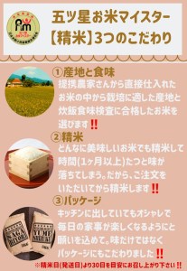 CID43_【６回定期便】さがびより白米１０kg（５kg×２袋） 【五つ星お米マイスター厳選！】
