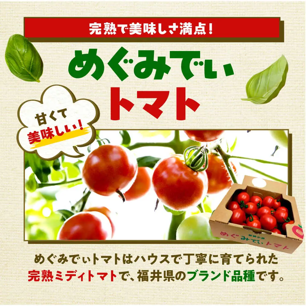 めぐみでぃトマト100%ジュース　500ml×3本　若狭の恵 小浜市 / 若狭の恵 [BFAG002]
