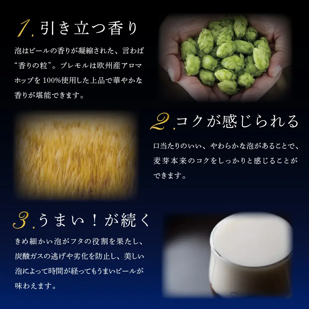 定期便12ヶ月|プレミアムモルツ香るエール500ml 計12箱定期便
