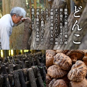 戻しいらず椎茸どんこ3袋 (計300g・100g×3袋) 原木栽培 干し椎茸 乾椎茸 しいたけ きのこ 出汁 大分県 佐伯市 【FR02】【かやの椎茸屋】