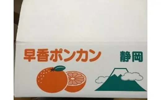 みかん「早香」 約5kg 高糖度 期間限定 早香ぽんかん 蜜柑 フルーツ 果物 静岡県 富士市産 [sf001-020]