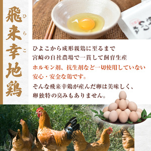 【宮崎小林・地鶏の里】飛来幸鶏の卵かけご飯セット「黙って食べて魅卵ね」