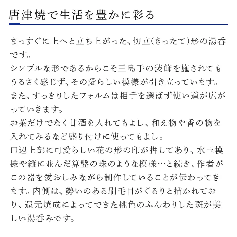 唐津焼 鏡山窯 湯呑み カップ 三島唐津 2個セット