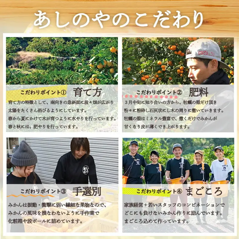 【2027年先行予約】和歌山県産 有田の 八朔 (はっさく) 約10kg 小玉 【2S～Mサイズ混合】まごころ手選別 _ZE6154n