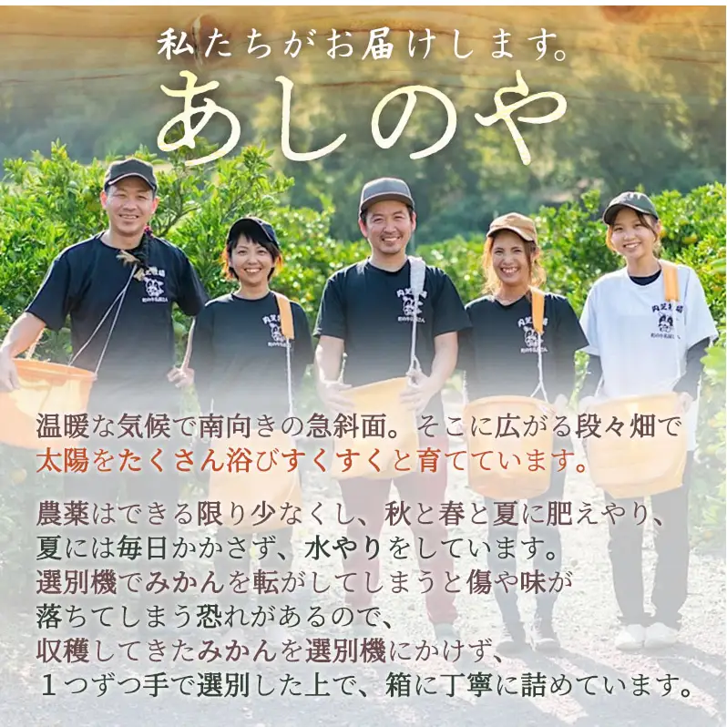 【2027年先行予約】和歌山県産 有田の はるみ 【訳あり 家庭用】 約4kg (S～4Lサイズ混合)_ZE6163n
