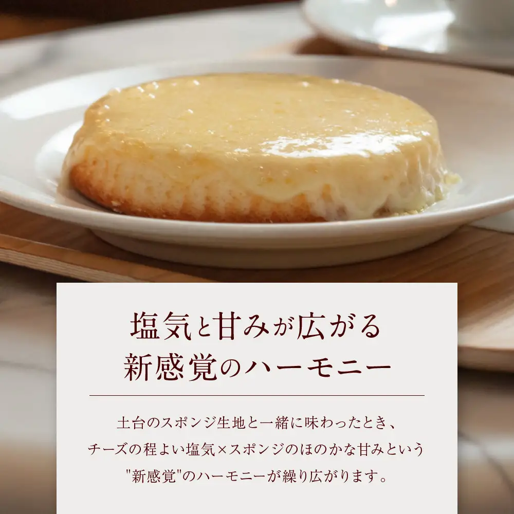 ＼現寄附額は9月30日まで／【観音屋】デンマークチーズケーキ　8個入り ケーキ スイーツ