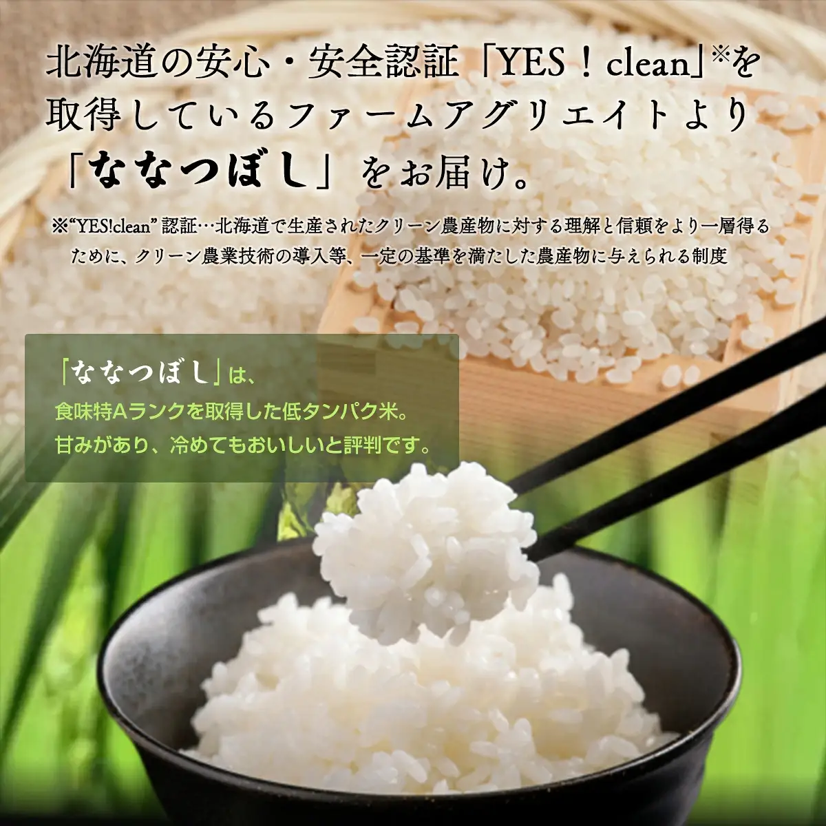 令和6年産米 ファームアグリエイトのななつぼし　約5kg×2袋を6ヶ月連続お届け SBTB007