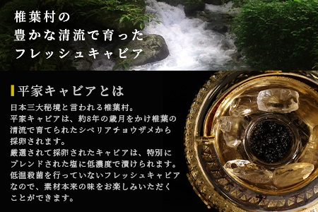 【世界三大珍味×日本三大秘境】HEIKE CAVIAR 500g 【20g×25個】【産地直送】国産 チョウザメ キャビア 500g 魚卵 魚介 珍味 SZ-126
