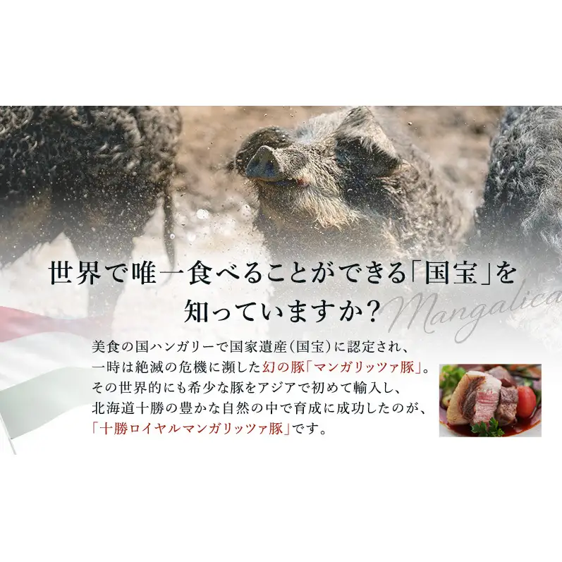 【メディアで多数紹介】 国宝・十勝ロイヤルマンガリッツァ豚 塩しゃぶしゃぶ ロース400g 北海道 幕別町 【 豚肉 豚 しゃぶしゃぶ 塩 湖塩 冷凍 生 】 お肉 牛肉 牛肉/しゃぶしゃぶ  丸勝十勝ヒルズ