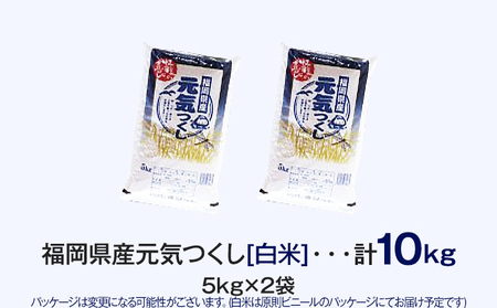 【令和7年産】 福岡県 大木町産 元気つくし 10kg　BC02