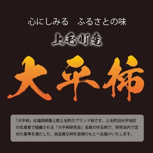 旬の味覚「大平柿」6kg _T03401