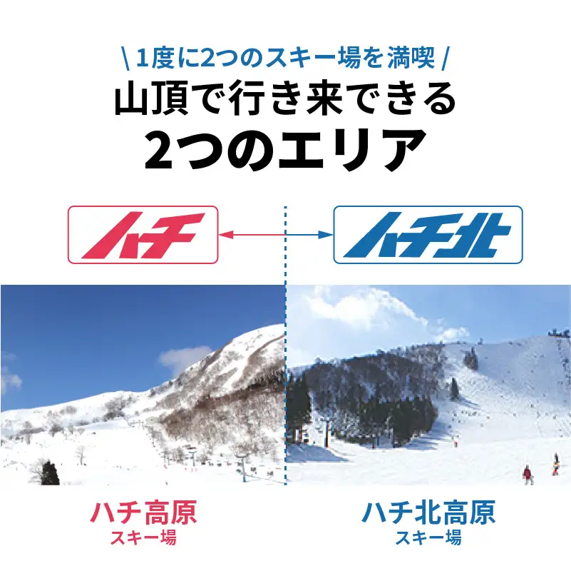 ハチ北スキー場 リフト 1日券 1枚 こども用 小学生以下 【令和8年11月