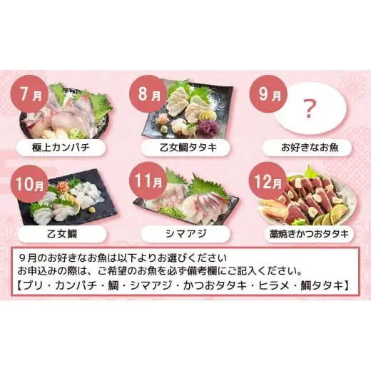 【 刺身 】 刺身定期便 12ヶ月