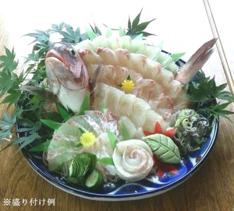 （冷蔵）たい姿造りセット／伊勢志摩　熊野灘　鈴木水産　真鯛　タイ　お刺身　塩焼き　鯛めし　煮付け　豪華姿造り　度会町