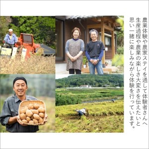農漁村体験の聖地「松浦党の里」旬の野菜とお米(3kg)セット【119-0001】