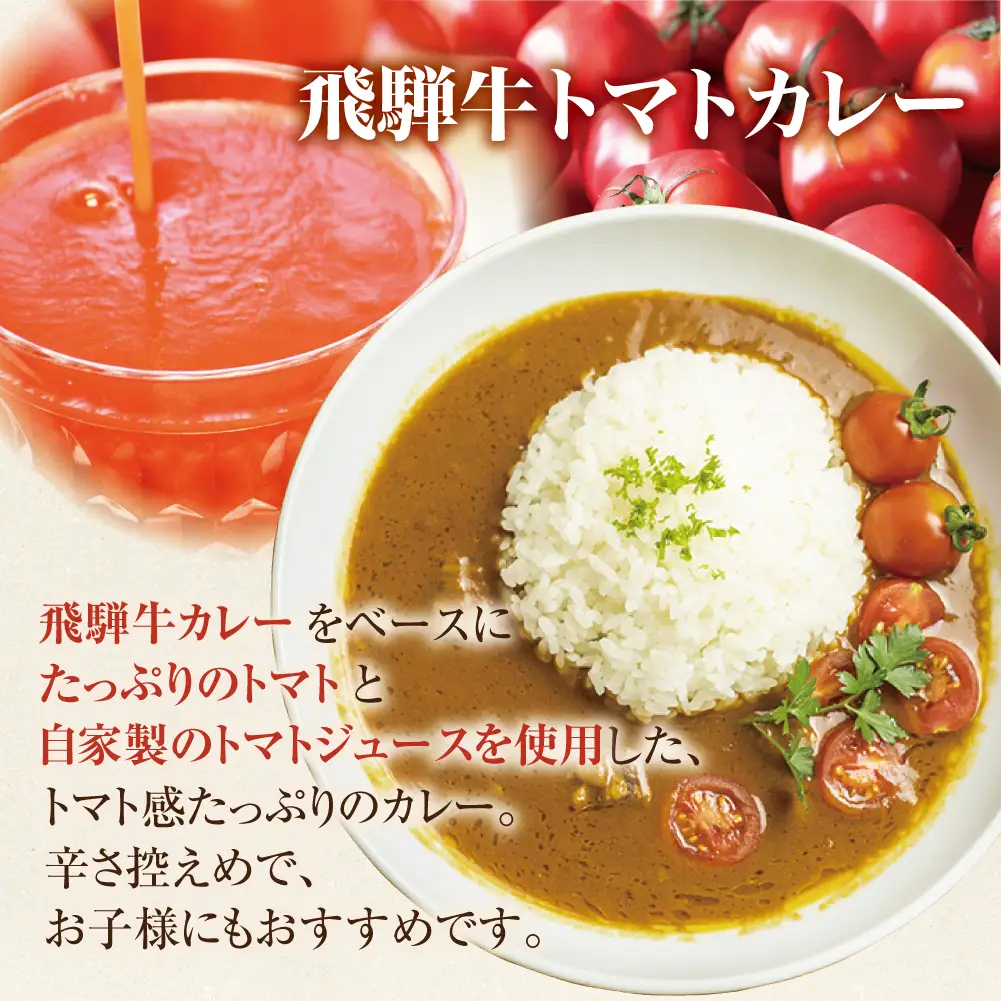 飛騨牛 カレー ＆トマト カレー  計5食  |  レトルト 簡易包装 DC003VC13