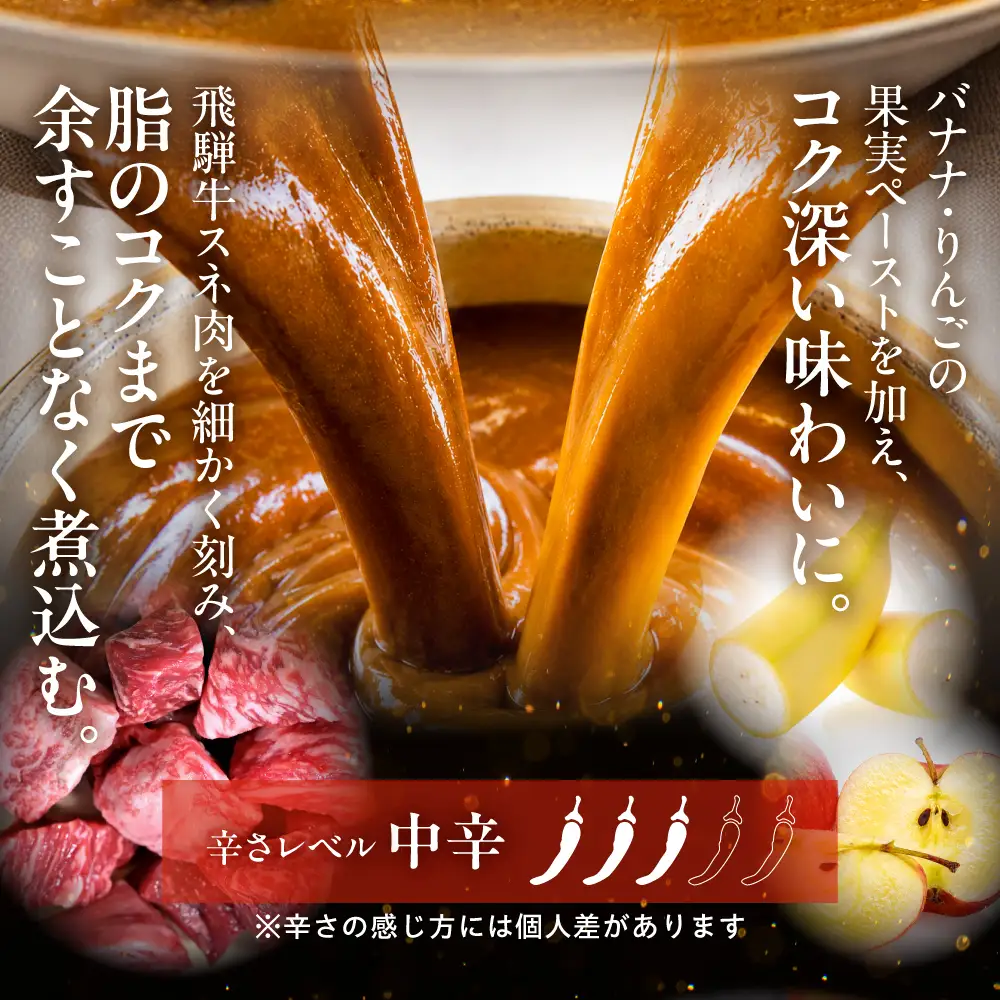 飛騨牛カレー 訳あり（160ｇ×5袋) | 訳あり カレー  ビーフ レトルト  ふるさと清見 DC005VC13