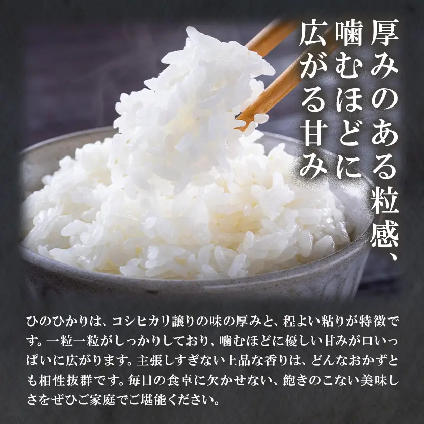 お米 白米 ひのひかり 5kg×2袋 有限会社 谷口商店 《30日以内出荷予定(土日祝除く)》