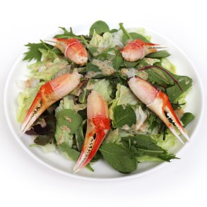 本ボイルズワイ蟹 爪肉 1kg | 蟹 [1619]