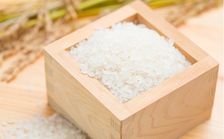 【令和7年産】 米食味鑑定士厳選新庄産米「ササニシキ」（精米）5kg 米 お米 おこめ 山形県 新庄市 F3S-2747