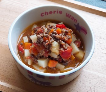 ドッグフード 【ペット食育士監修】 日向市産の野菜をたっぷり使った 手作り ドッグフード (4種×各1個)
