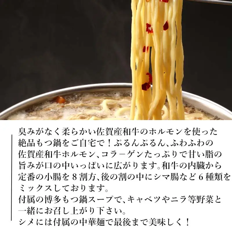 和牛もつ鍋セット 佐賀産和牛ミックスホルモン500ｇ こくうま醤油味ス－プ 乾麺 (3～4人前)