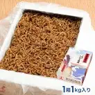 しらす 佃煮 1kg 甘口 大洗 天然 シラス ご飯のお供 おかず お弁当 大洗 茨城県  離乳食_AG024