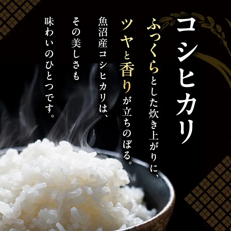 令和7年産 【特別栽培米】魚沼産コシヒカリ（精米）5kg