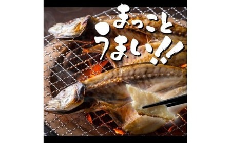 【奇数月定期便】いずま海産のトロアジ干物8枚頒布会【6回お届け】干物