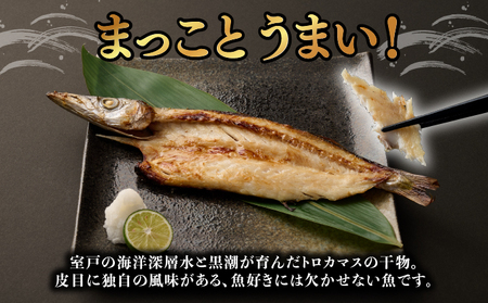 【定期便】いずま海産のトロカマス干物8枚頒布会【3回お届け】干物