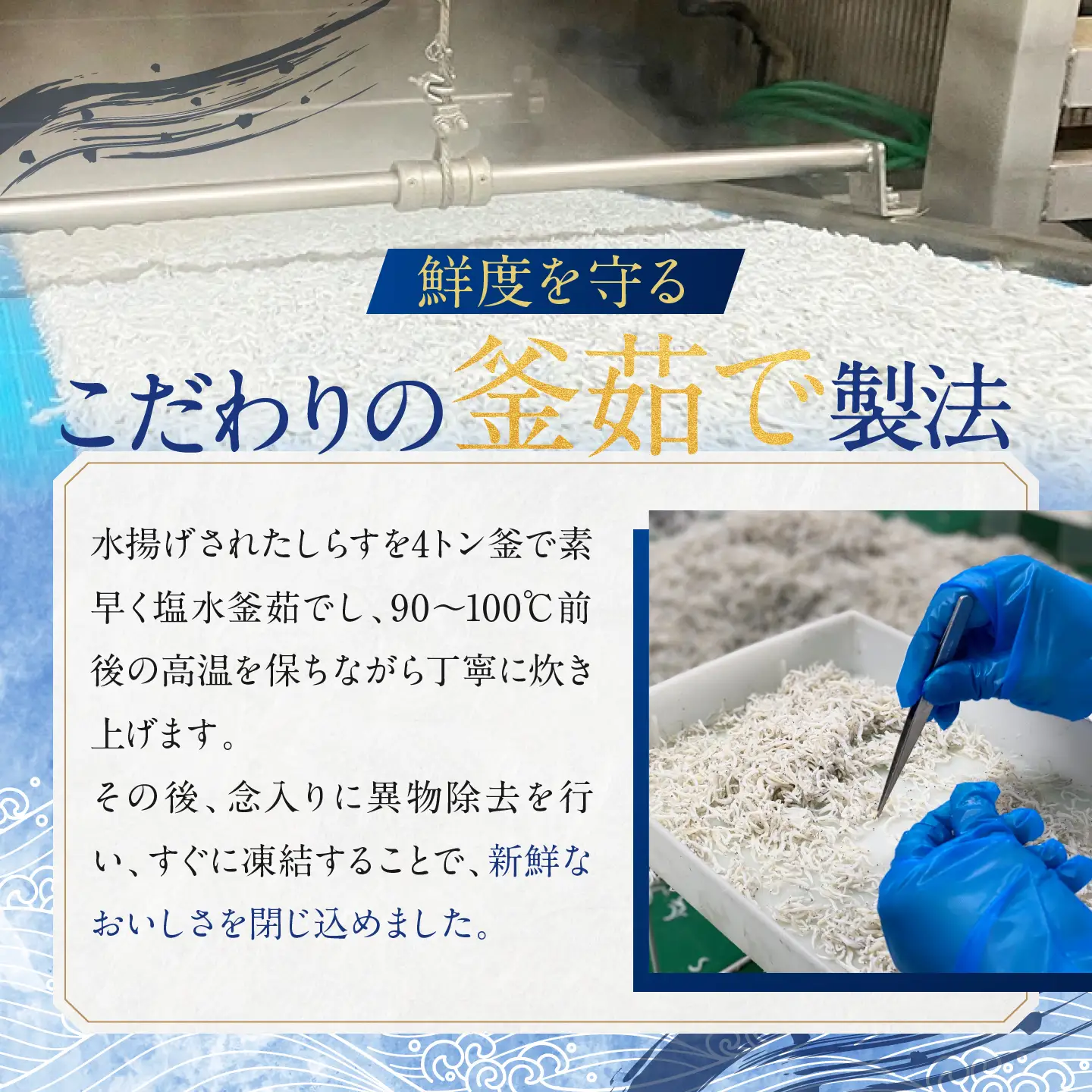 釜揚げしらす 12パック 約 2kg )  しらす 釜揚げしらす_AG028