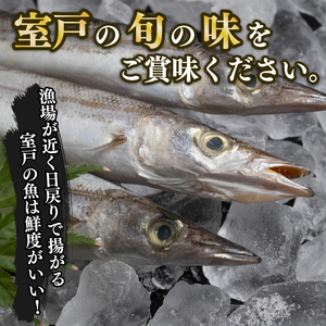 【定期便】いずま海産のトロカマス干物8枚頒布会【12回お届け】干物