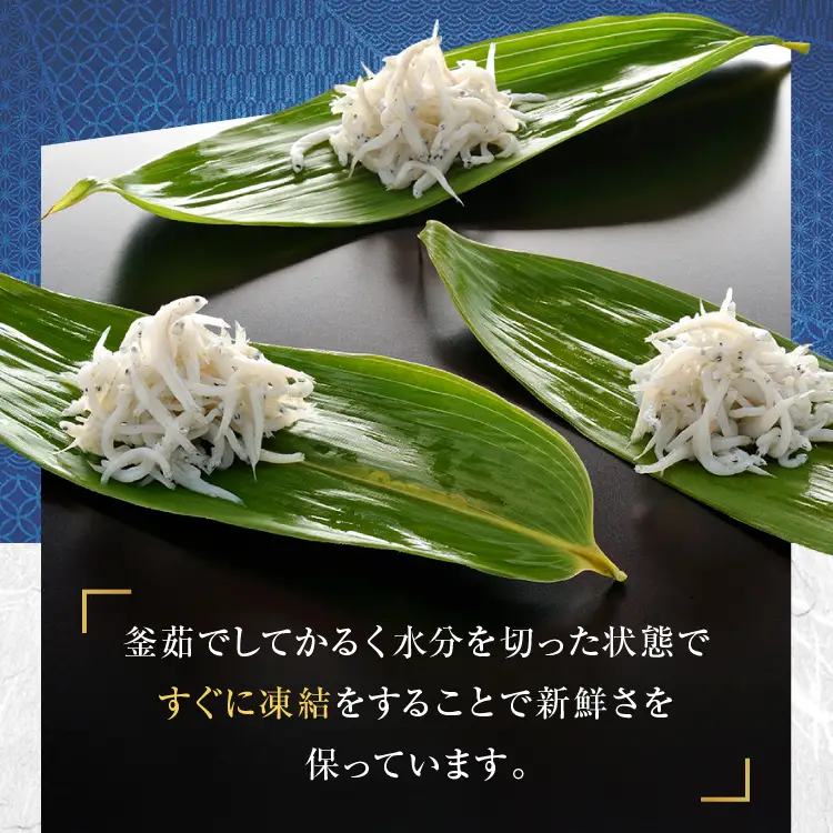 釜揚げしらす 6パック ( 160g × 6パック ) 約 1kg 小分け しらす_AG031