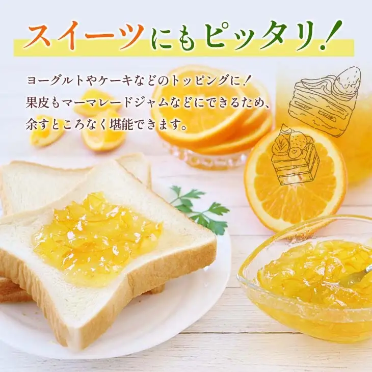 【ふるなび限定】★テレビで紹介された★ 先行予約 数量限定 グレープフルーツ 月夜実 白 つくよみ 計4kg以上_BB122-23