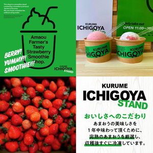 【ICHIGOYA】福岡県産 完熟あまおう ジェラート(アイス) 3種×2個(計6個) レアチーズ！ミルク！ヨーグルト！_ICHIGOYA 福岡県産 完熟 あまおう ジェラート アイス 3種 × 2個 計 6個 レアチーズ ミルク ヨーグルト セット デザート カップアイス アイスクリーム 冷凍 お取り寄せ お取り寄せスイーツ 福岡県 久留米市 送料無料 〔Dw016〕