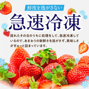 福岡県産 冷凍あまおう 摘みたて 1,500g(500g×3パック)_福岡県産 冷凍 あまおう 摘みたて 1,500g 500g × 3パック デザート 果物 いちご いちごの王様 冷凍いちご 食べ方いろいろ ヨーグルト アイス ジャム シャーベット スムージー ケーキ ドリンク お取り寄せ お取り寄せスイーツ 福岡県 久留米市 送料無料 〔Fi036〕