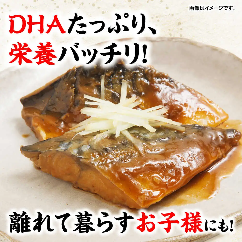 鯖の味噌煮7枚 [AHAN002] 鯖味噌