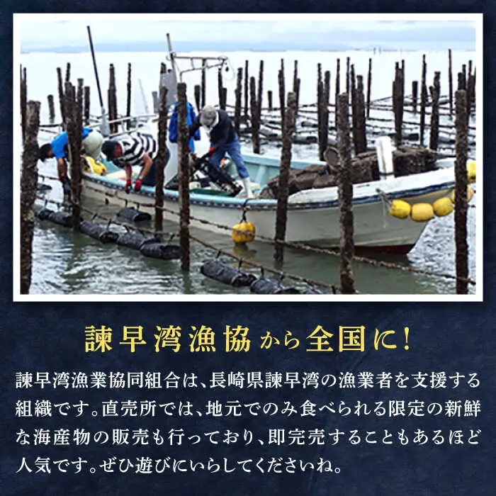 【長崎県小長井町産】「華漣」オリーブオイル漬3瓶 / 牡蠣 かき カキ オリーブ オリーブオイル / 諫早市 / 諫早湾漁業協同組合  [AHBJ003]