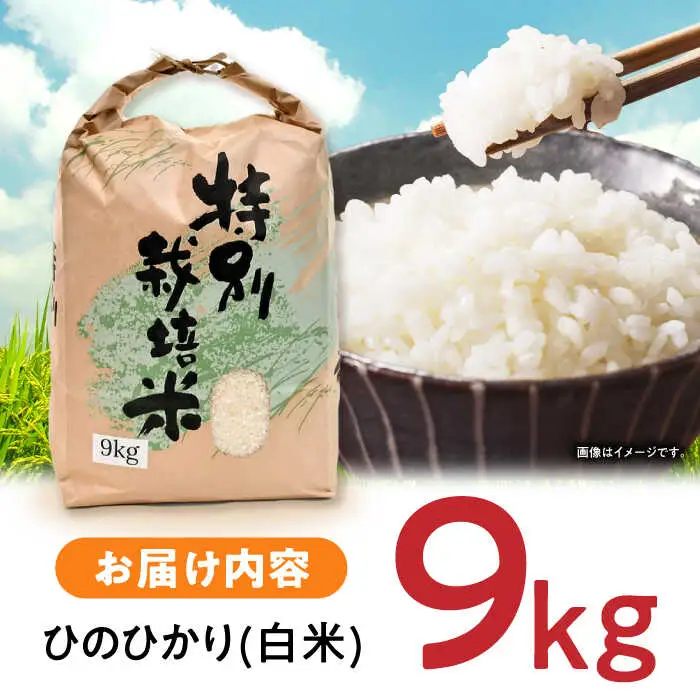 【R7年産】九州のこだわり「ひのひかり」白米 9kg / 米 こめ コメ お米 おこめ 白米 精米 白ご飯 ヒノヒカリ 長崎県産 / 諫早市 / 上島農産 [AHAS003]
