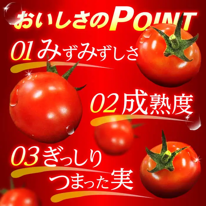 【先行予約※2026年11月より発送】愛果菜ミニトマト9P×3セット / ミニトマト プチトマト トマト とまと / 諫早市 / 愛菜ファーム株式会社 [AHAK003]