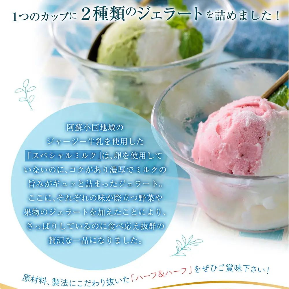 阿蘇天然アイス　ハーフ&ハーフ　8個セット